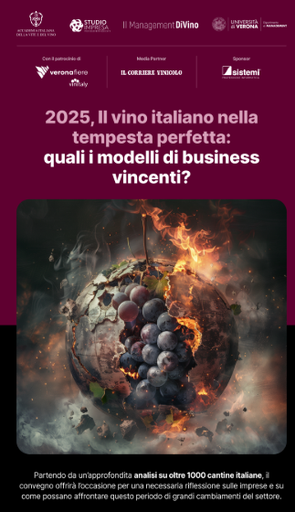 Il vino italiano nella tempesta perfetta: quali i modelli di business vincenti?